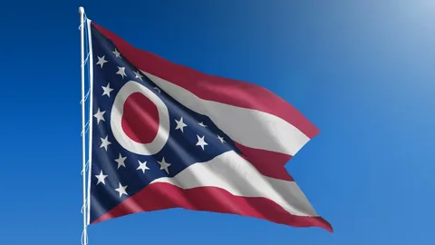 Ohio Business Entity Search