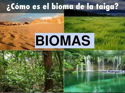 Bioma