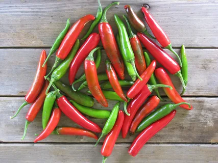 Serrano pepper